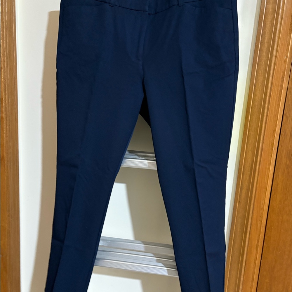 LOFT Dark Blue Skinny Pants